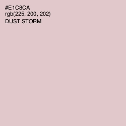 #E1C8CA - Dust Storm Color Image