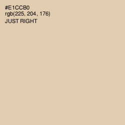 #E1CCB0 - Just Right Color Image