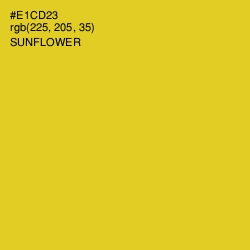 #E1CD23 - Sunflower Color Image