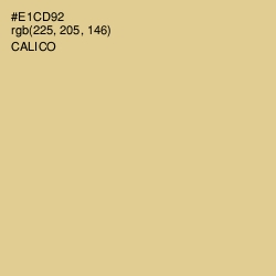 #E1CD92 - Calico Color Image