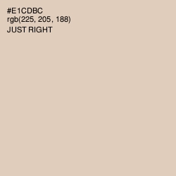 #E1CDBC - Just Right Color Image