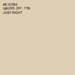 #E1CFB2 - Just Right Color Image