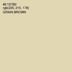 #E1D7B2 - Grain Brown Color Image
