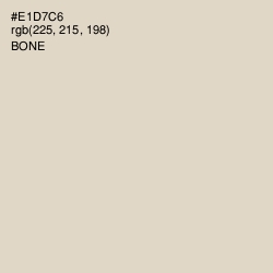 #E1D7C6 - Bone Color Image