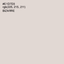 #E1D7D3 - Bizarre Color Image