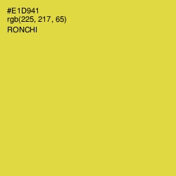 #E1D941 - Ronchi Color Image