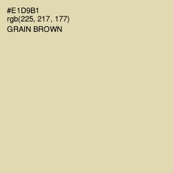 #E1D9B1 - Grain Brown Color Image