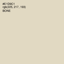 #E1D9C1 - Bone Color Image