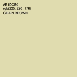 #E1DCB0 - Grain Brown Color Image