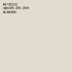 #E1DCCC - Almond Color Image