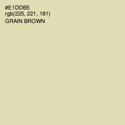 #E1DDB5 - Grain Brown Color Image
