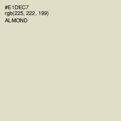 #E1DEC7 - Almond Color Image