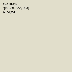 #E1DECB - Almond Color Image