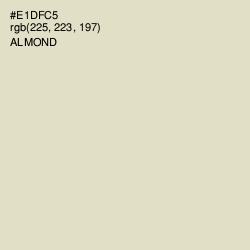 #E1DFC5 - Almond Color Image