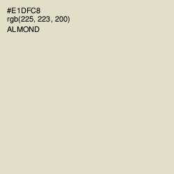 #E1DFC8 - Almond Color Image