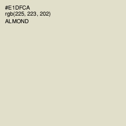 #E1DFCA - Almond Color Image