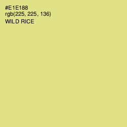 #E1E188 - Wild Rice Color Image