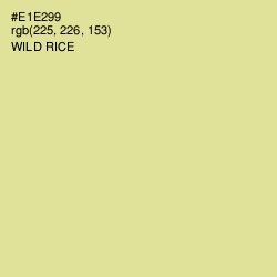 #E1E299 - Wild Rice Color Image