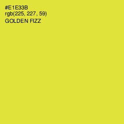 #E1E33B - Golden Fizz Color Image