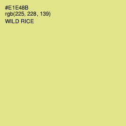 #E1E48B - Wild Rice Color Image
