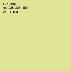 #E1E496 - Wild Rice Color Image