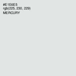 #E1E6E5 - Mercury Color Image