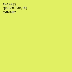 #E1EF63 - Canary Color Image