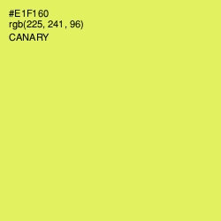 #E1F160 - Canary Color Image