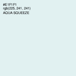 #E1F1F1 - Aqua Squeeze Color Image