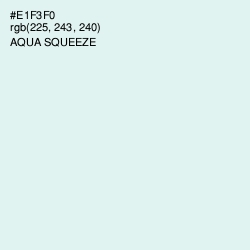 #E1F3F0 - Aqua Squeeze Color Image