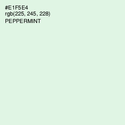 #E1F5E4 - Peppermint Color Image