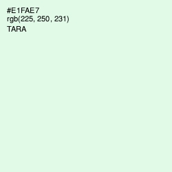 #E1FAE7 - Tara Color Image