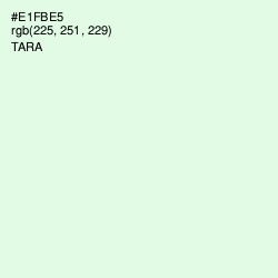 #E1FBE5 - Tara Color Image