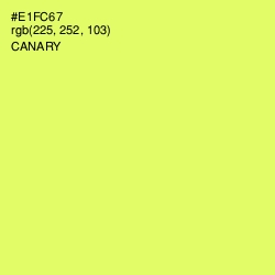 #E1FC67 - Canary Color Image