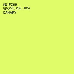 #E1FC69 - Canary Color Image