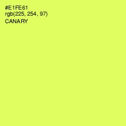 #E1FE61 - Canary Color Image