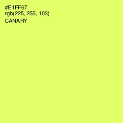 #E1FF67 - Canary Color Image