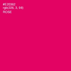 #E20362 - Rose Color Image