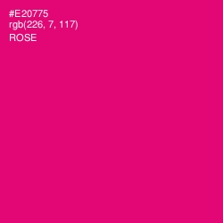 #E20775 - Rose Color Image