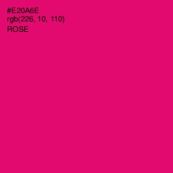 #E20A6E - Rose Color Image