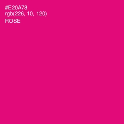 #E20A78 - Rose Color Image