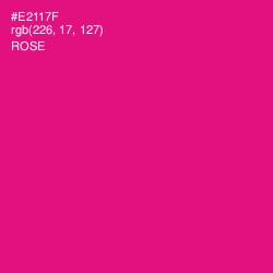 #E2117F - Rose Color Image