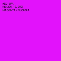 #E213FA - Magenta / Fuchsia Color Image