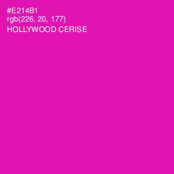 #E214B1 - Hollywood Cerise Color Image