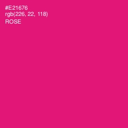 #E21676 - Rose Color Image