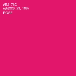 #E2176C - Rose Color Image