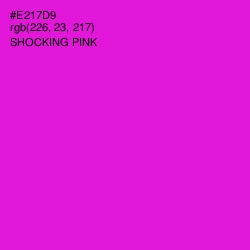 #E217D9 - Shocking Pink Color Image