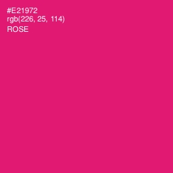 #E21972 - Rose Color Image