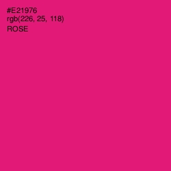 #E21976 - Rose Color Image