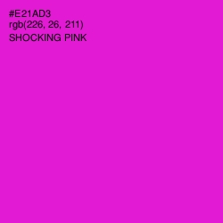 #E21AD3 - Shocking Pink Color Image